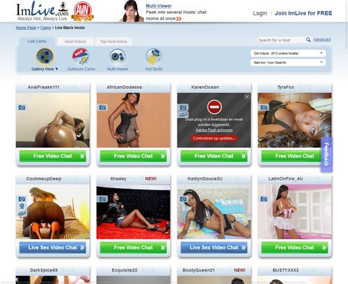 A Review Screenshot of imlive.com