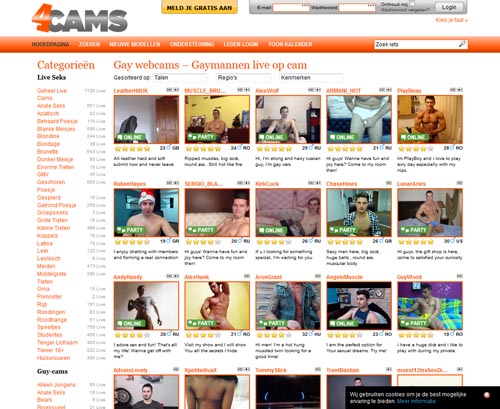 Review screenshot 4cams.com