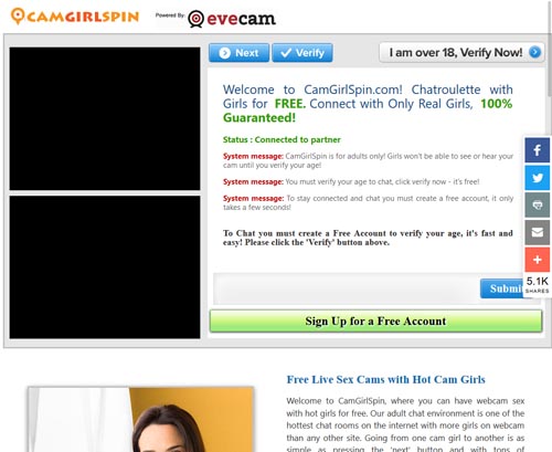 A Review Screenshot of camgirlspin.com